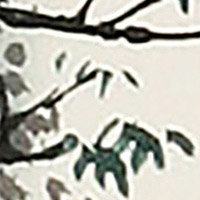局部微米级别图片